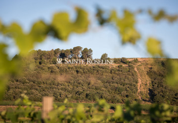 Domaine viticole Château Sainte Roseline Var