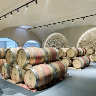Group guided visit of Château Sainte Roseline, wine estate in Provence