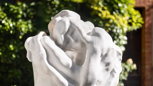 Le Baiser d’une Rose : exposition contemporaine d’Eva Claessens