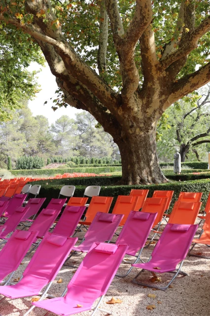 Découvrez un concert en plein air au milieu des vignes, où la musique accompagne la beauté du paysage viticole.