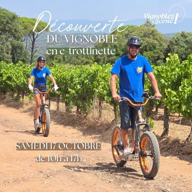 Découverte du vignoble en E-Trottinette