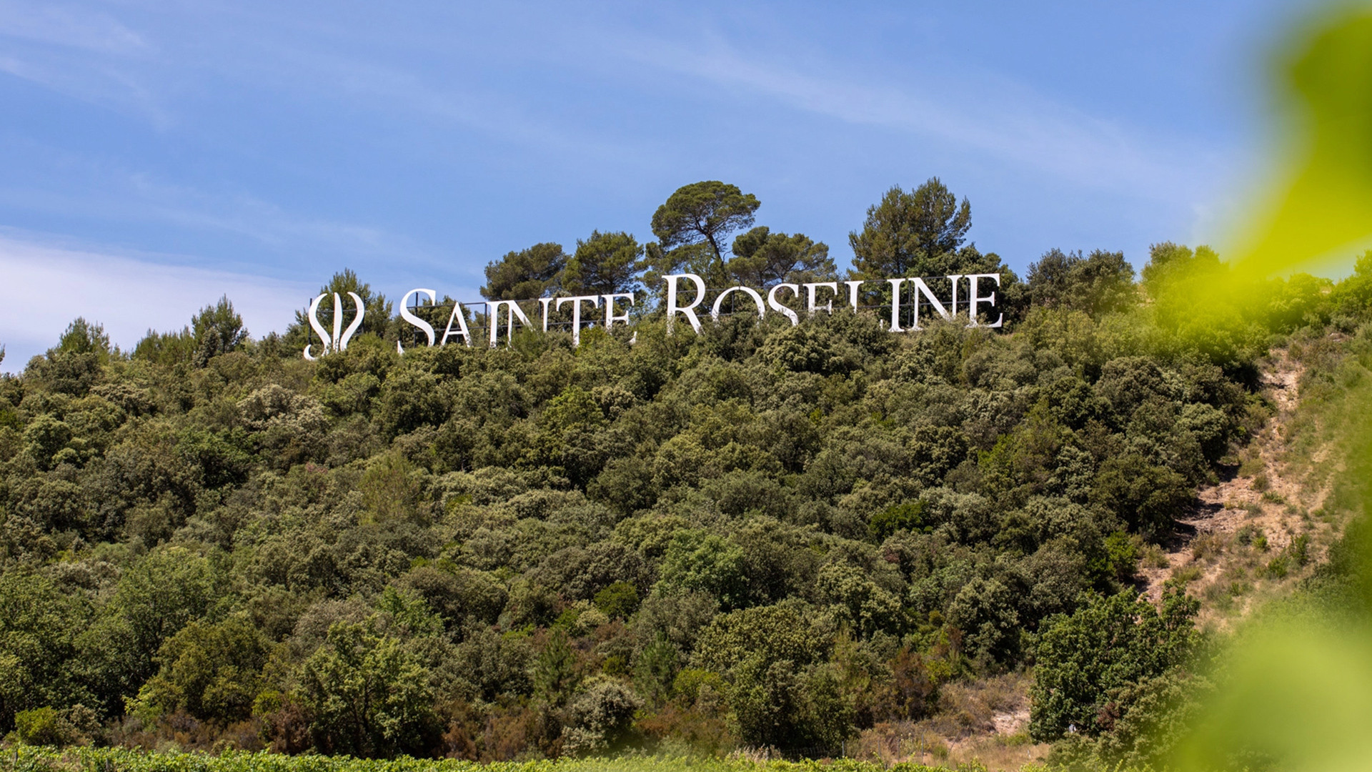 Blog news chateau sainte roseline