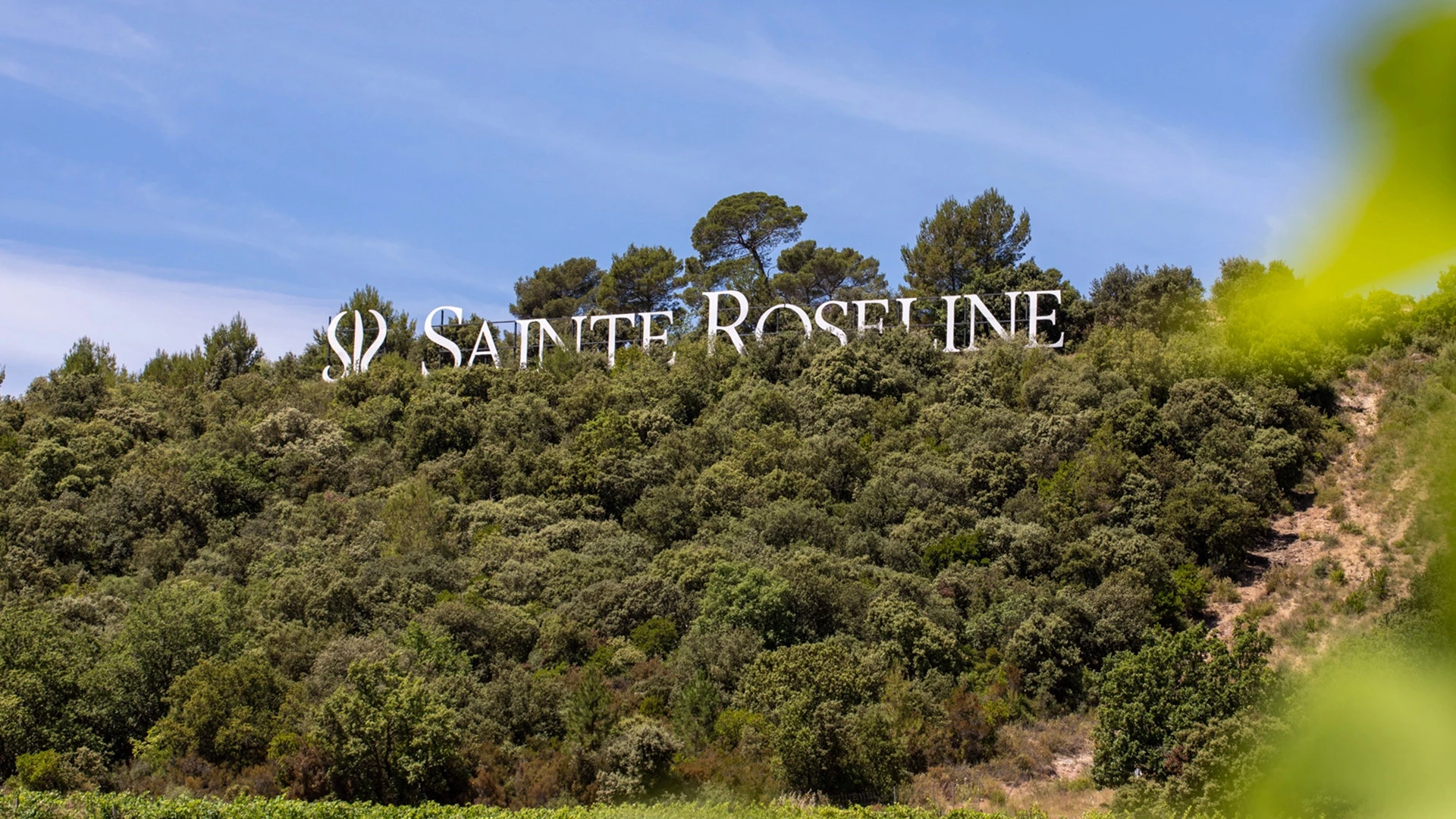 blog actualites chateau sainte roseline