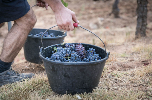 Harvest 2021 : it's on !