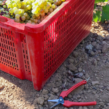 Harvest 2023: the kick-off is here!