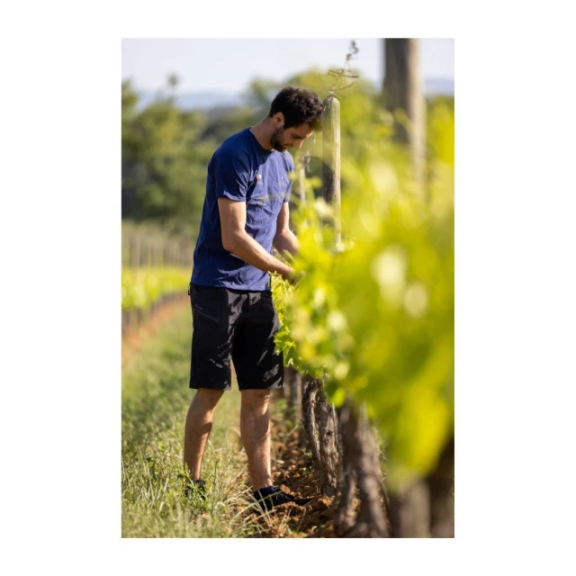 912b27c9 ea90 abf7 55ae a262c6252252