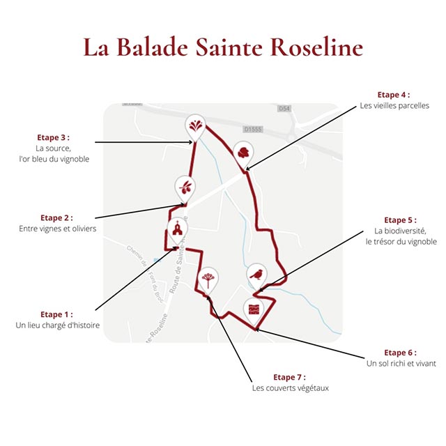 Chateau Sainte Roseline la balade sainte roseline 1