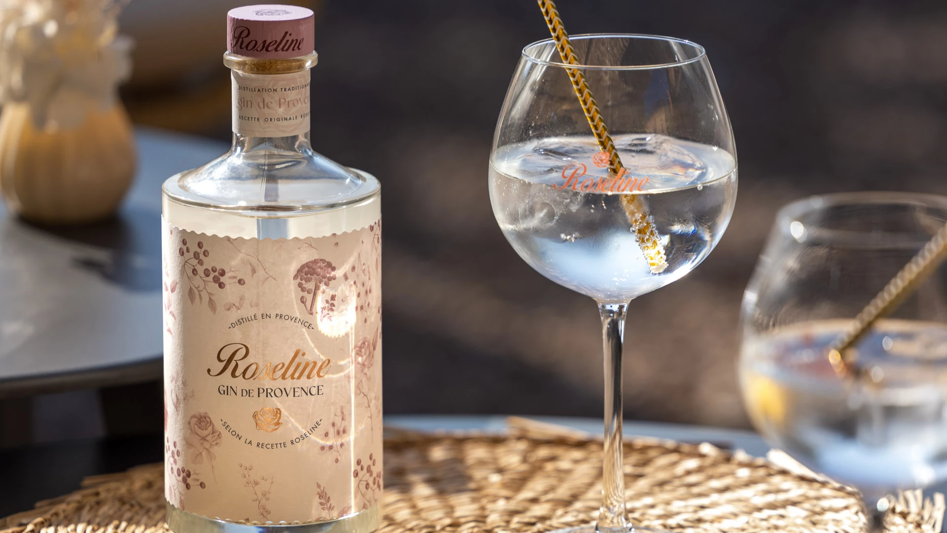 gin de roseline couverture
