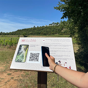 The St. Roseline Stroll