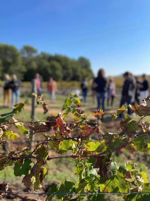 4x4 Tour at Château Sainte Roseline