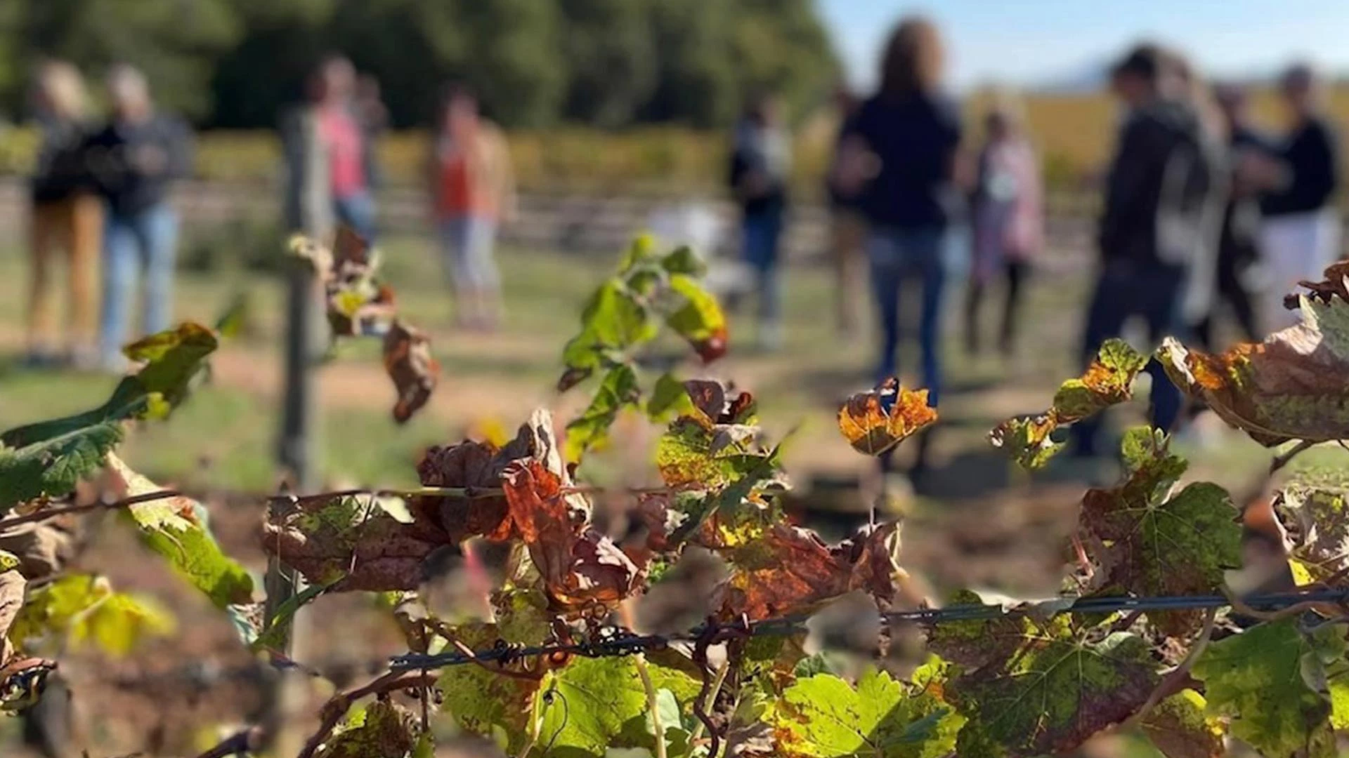 chateau sainte roseline 4x4 tour chateau sainte roseline