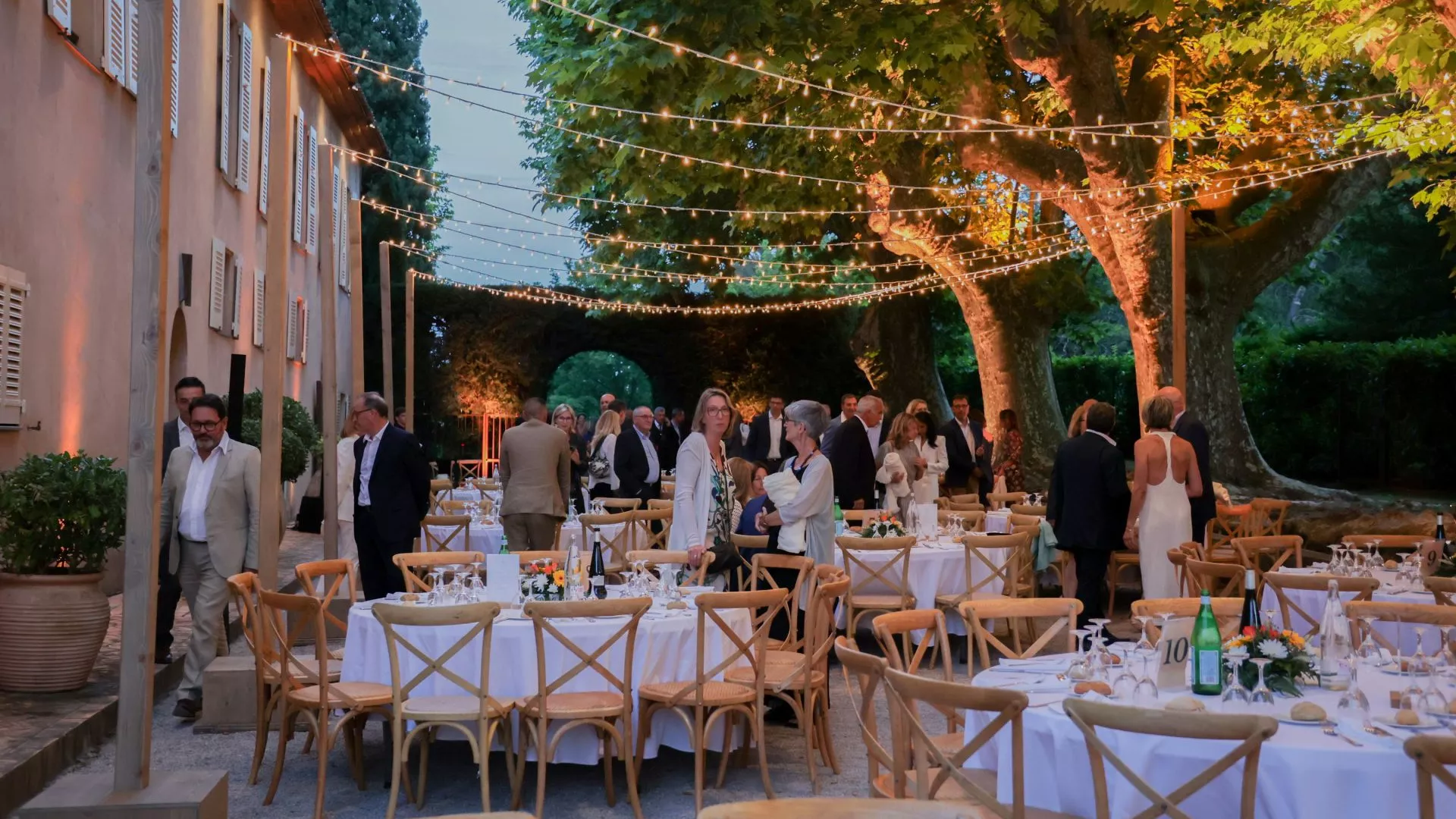 The Plane Tree Avenue