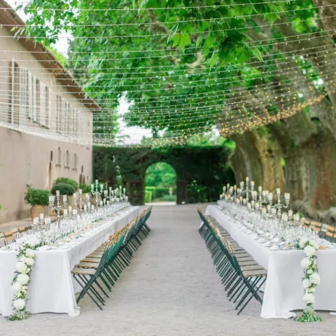 The Plane Tree Avenue