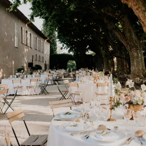 The Plane Tree Avenue