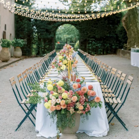The Plane Tree Avenue