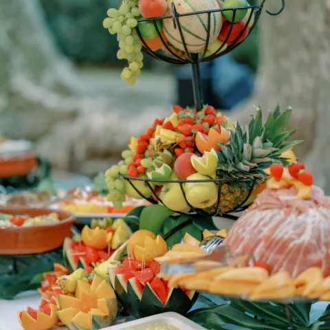 The Plane Tree Avenue