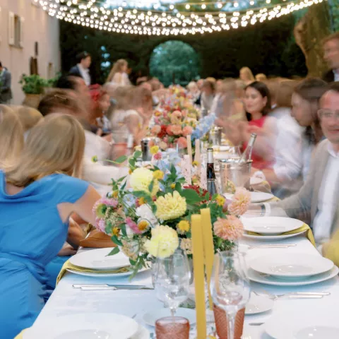 The Plane Tree Avenue