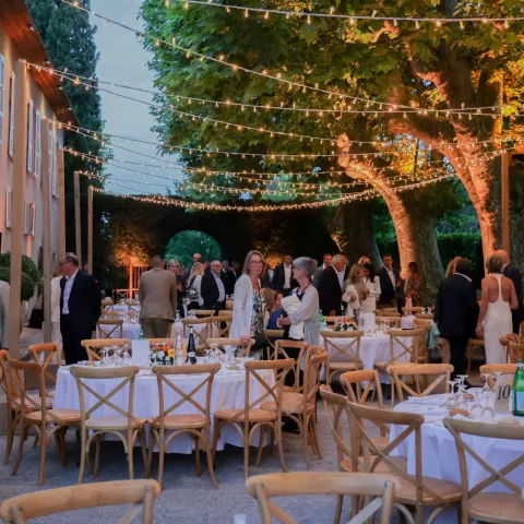 The Plane Tree Avenue