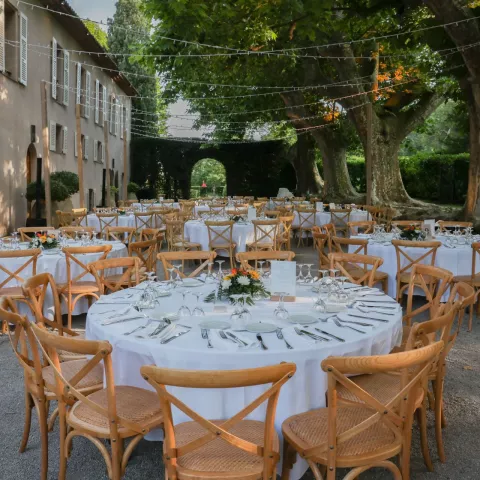 L'Allée des Platanes