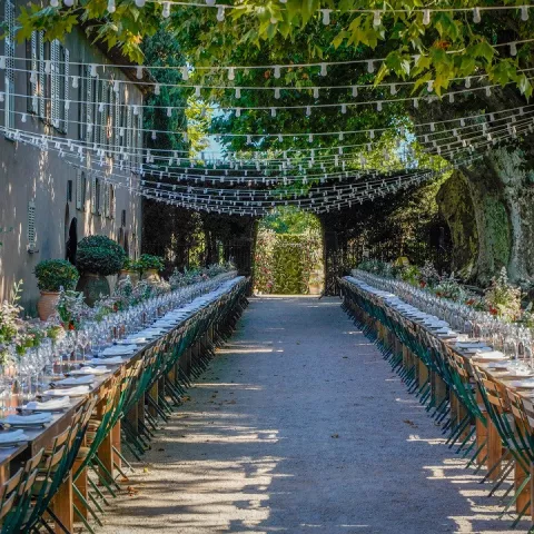 L'Allée des Platanes