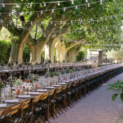 L'Allée des Platanes