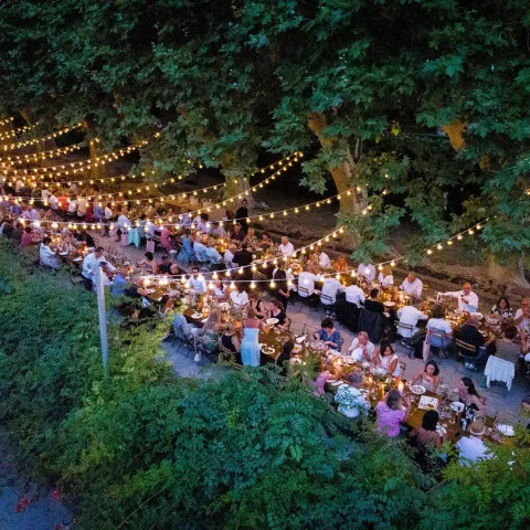 L'Allée des Platanes