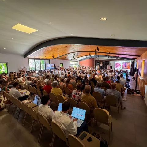 La Salle des Vendanges