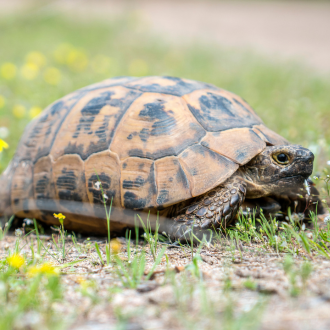 Design sans titre (42)