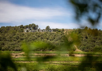 Découvrez les vignes du Château Sainte Roseline, domaine viticole Cru Classé au cœur de la Provence