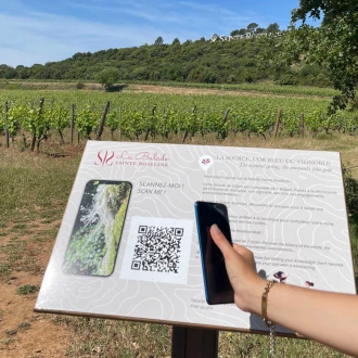 Enjoy the Sainte Roseline walk, a 3.5 km interactive trail through the estate